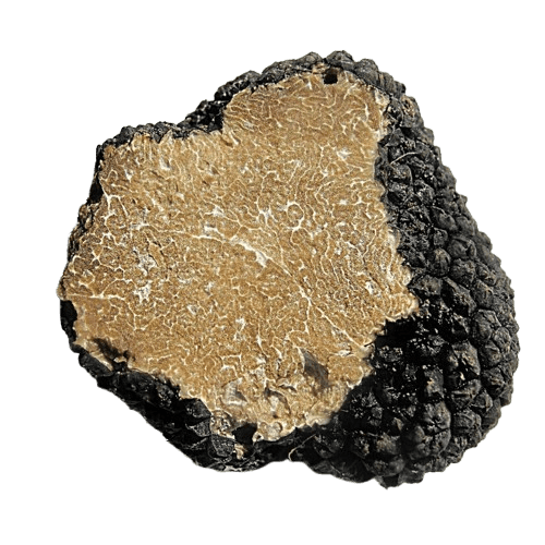 Fresh seasonal Papa Tartufi truffle